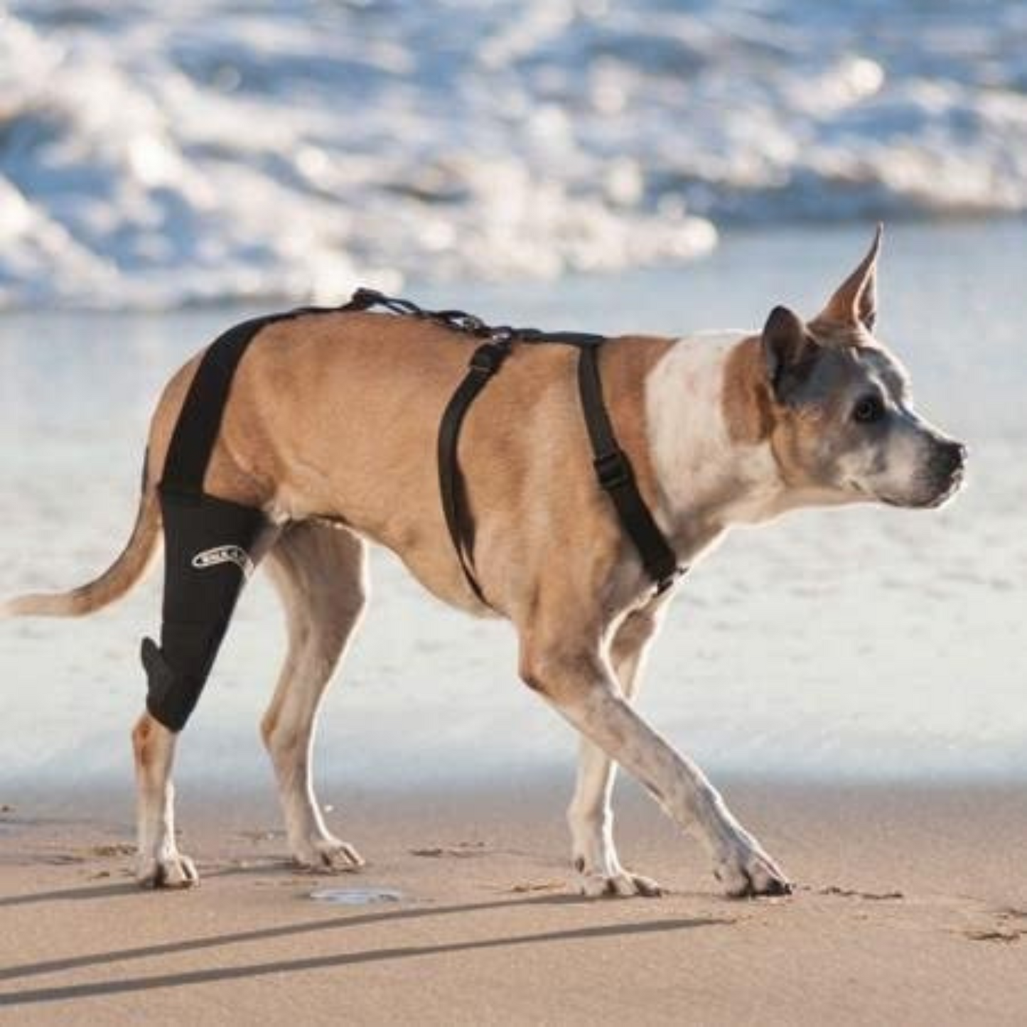 Walkabout Harnesses Camouflage Knee