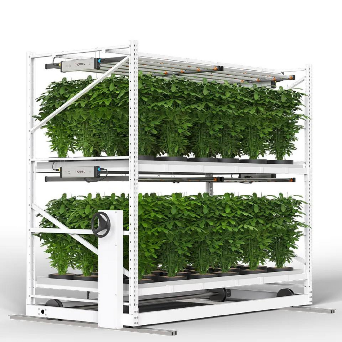 Flow Grow Table Vertical Grow Rack