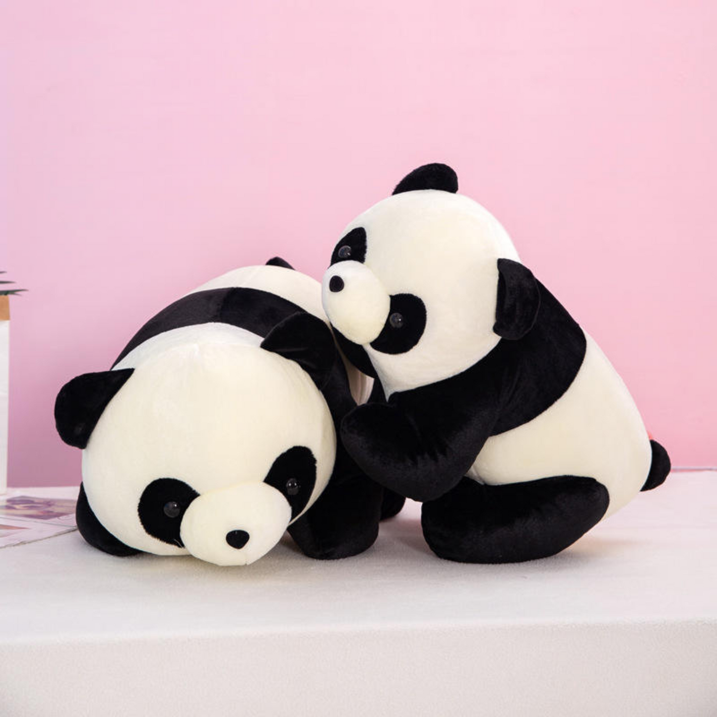 Cute and Cuddly Panda Plush Toys