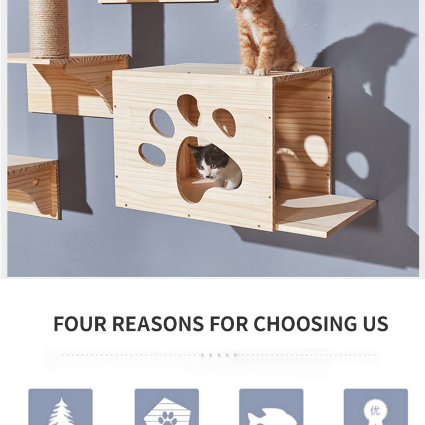 Wall Mounted Cat Climb Shelves