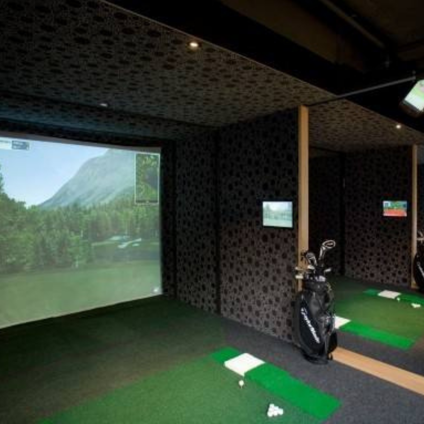 PGM Screen Golf Simulator