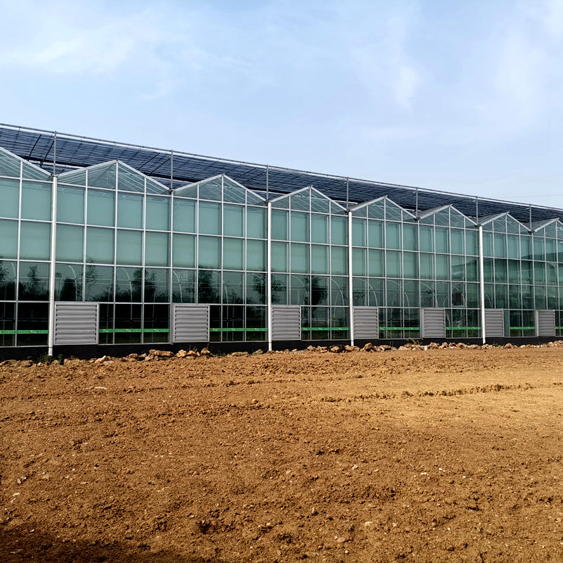 Solar-Powered Greenhouse Glass
