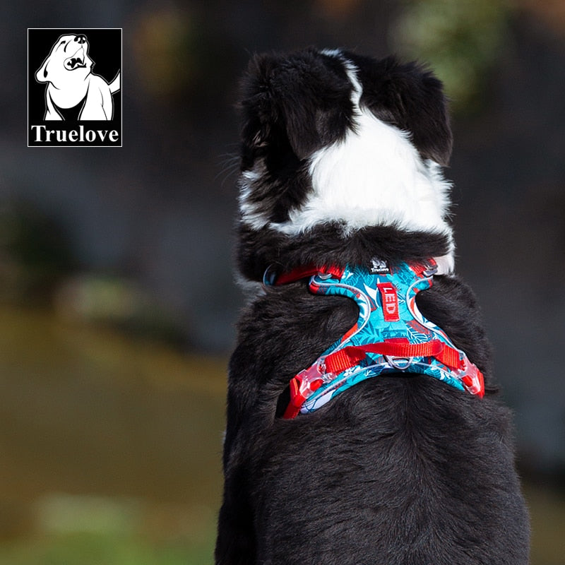 Truelove's Pet Harness