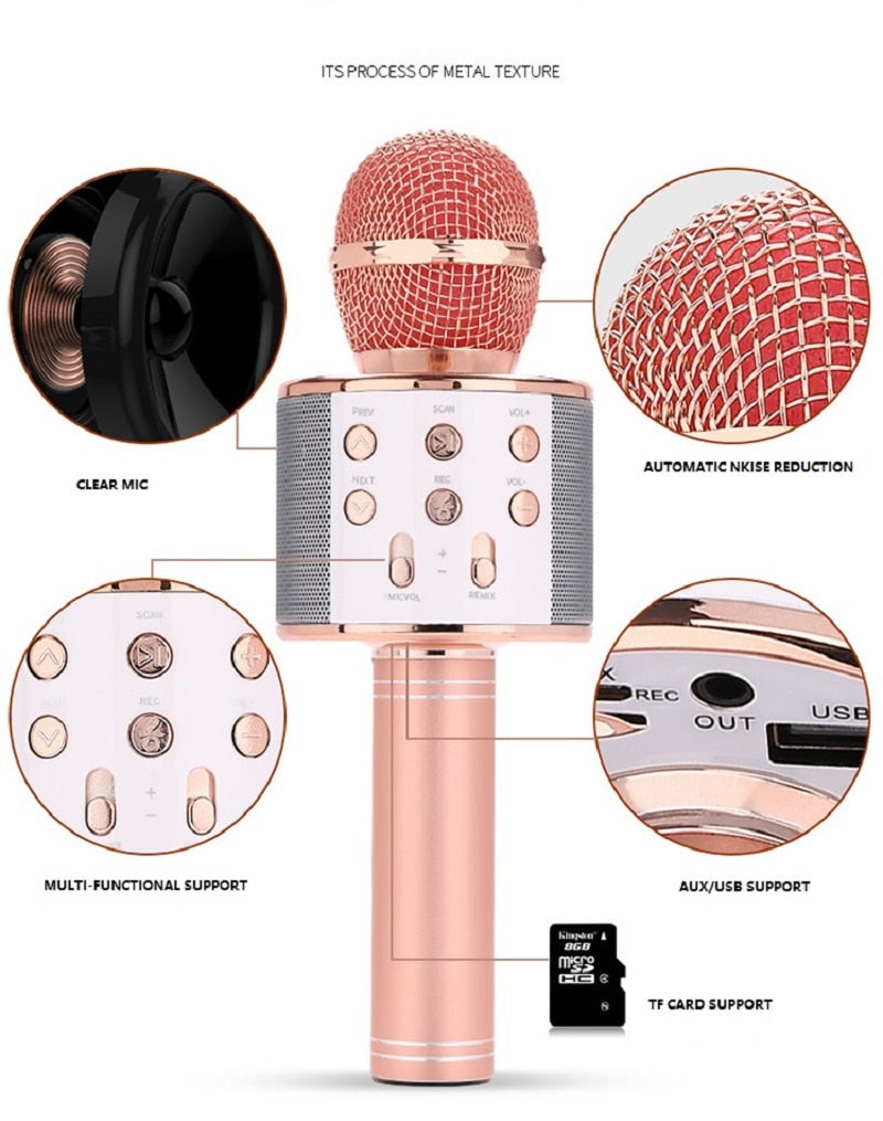 USB Player Professional Microphone