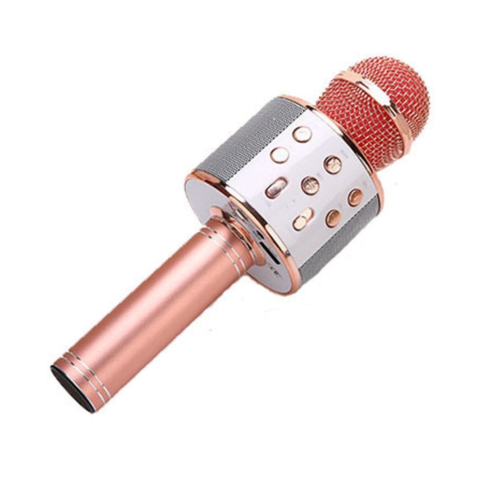 USB Player Professional Microphone