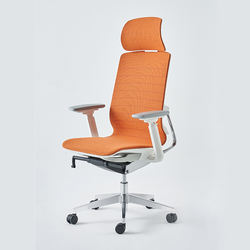 Luxury Swivel Office Chair
