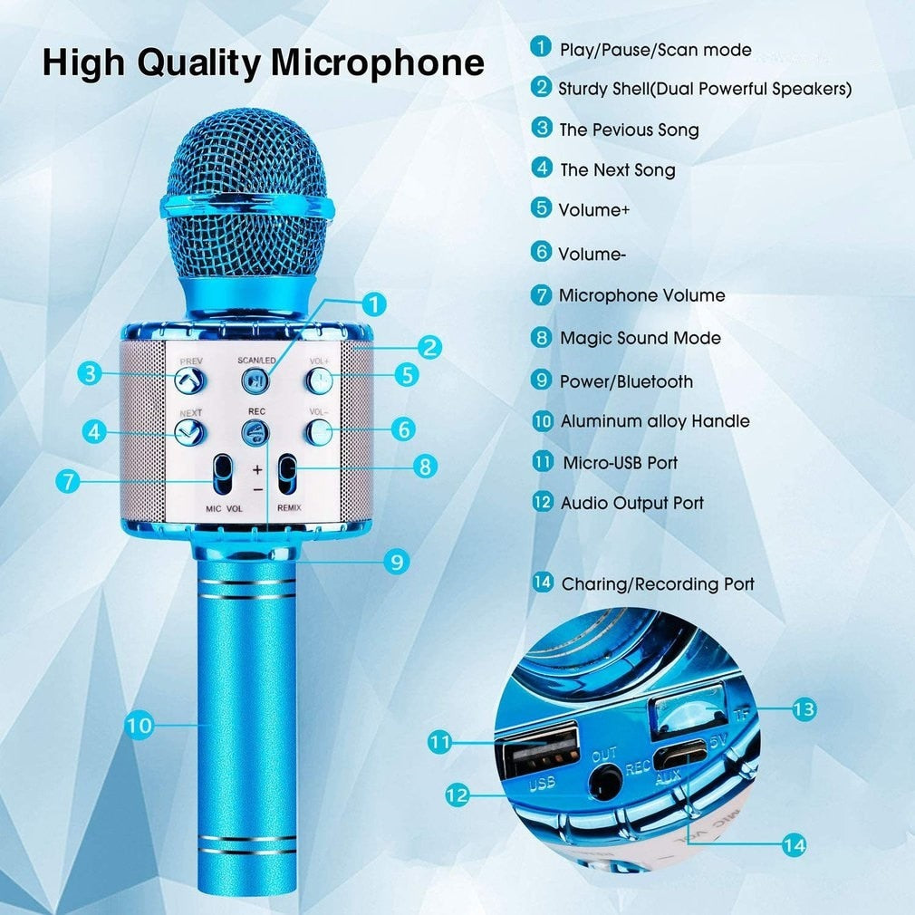 USB Player Professional Microphone