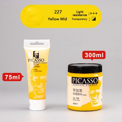 Waterproof Acrylic Paint Set