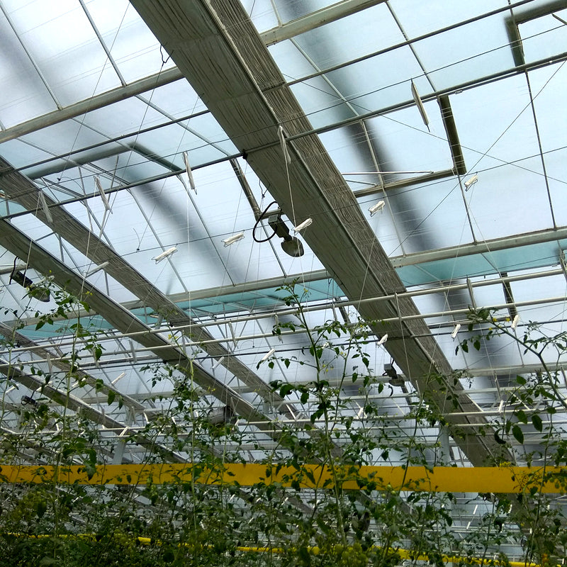 Solar-Powered Greenhouse Glass