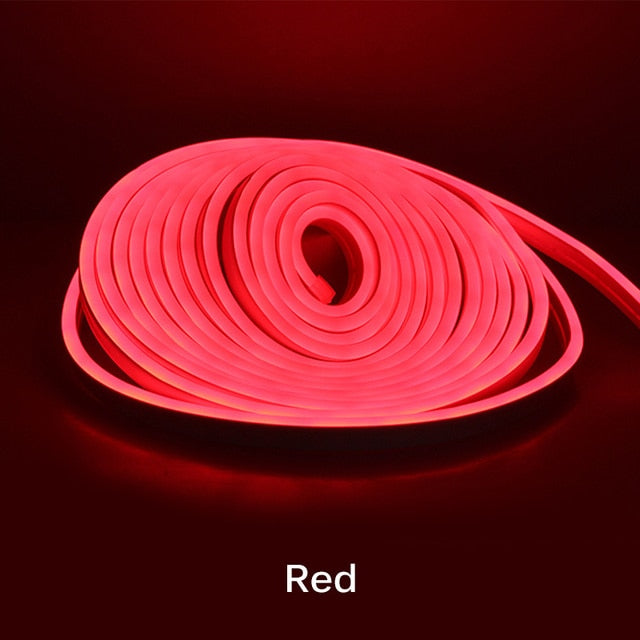 Neon Light - 5m 12V Low-Voltage