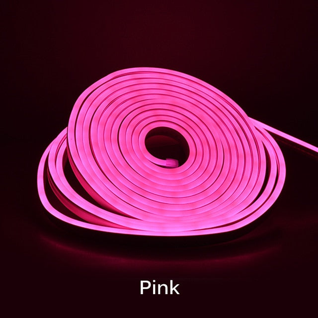 Neon Light - 5m 12V Low-Voltage
