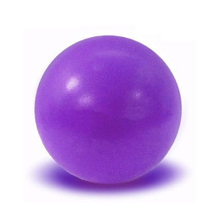 Exercise Gymnastic Fitness Ball