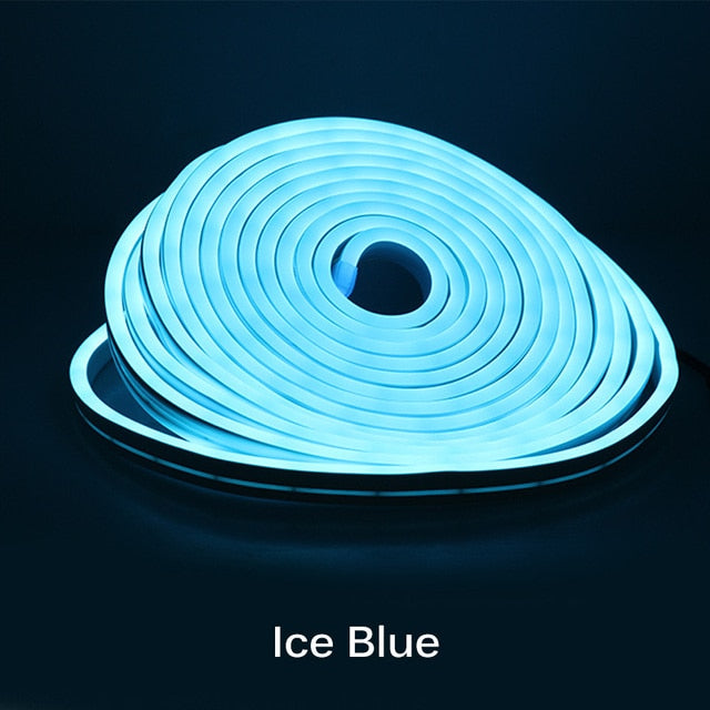 Neon Light - 5m 12V Low-Voltage