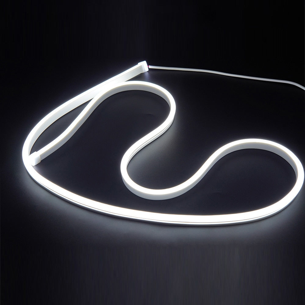 DIY 5V 12V LED Neon Strip Sign Light