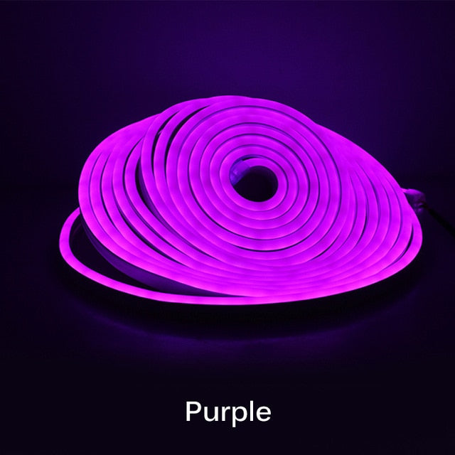 Neon Light - 5m 12V Low-Voltage