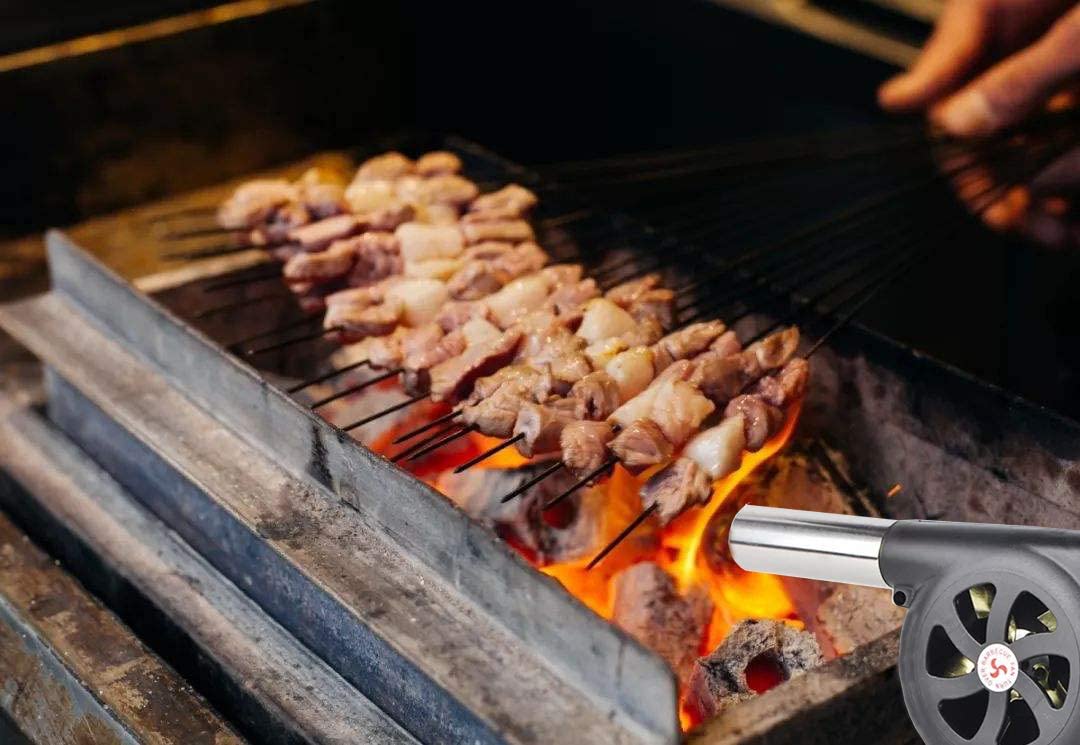 Household hand portable barbecue blower