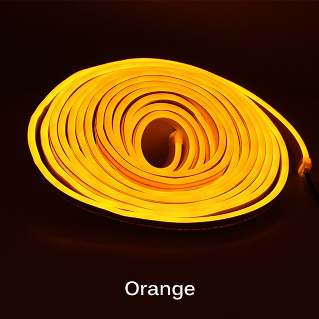 Neon Light - 5m 12V Low-Voltage