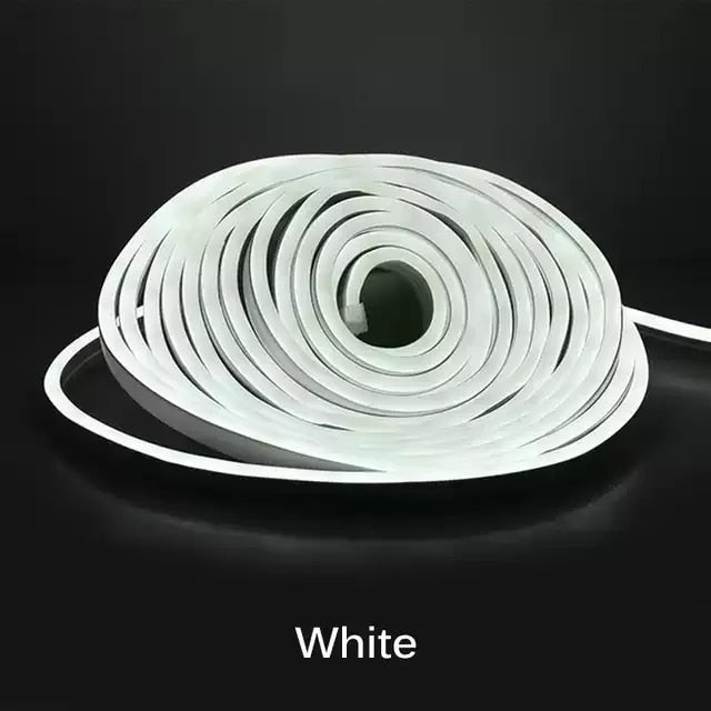 Neon Light - 5m 12V Low-Voltage