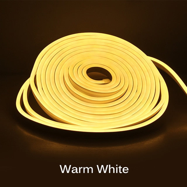 Neon Light - 5m 12V Low-Voltage