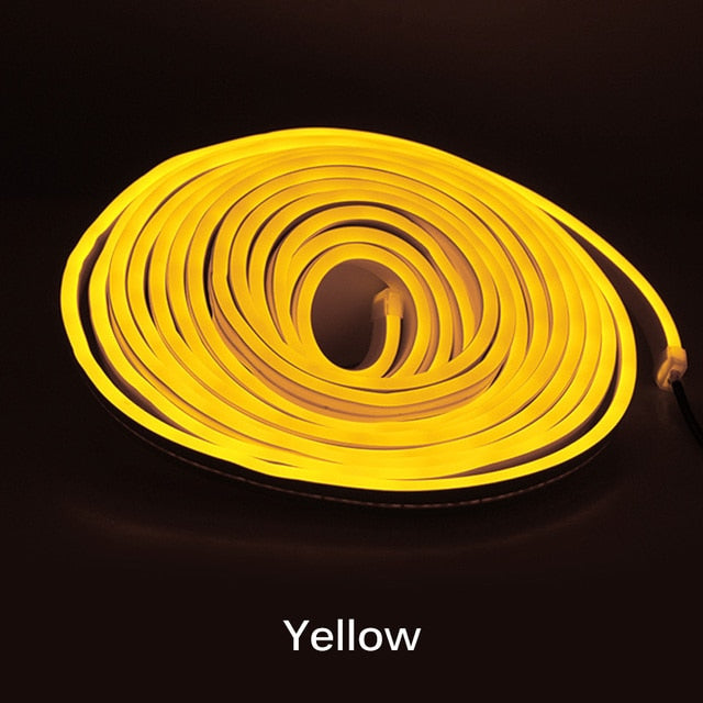 Neon Light - 5m 12V Low-Voltage