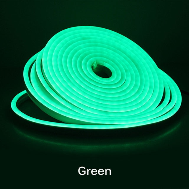 Neon Light - 5m 12V Low-Voltage