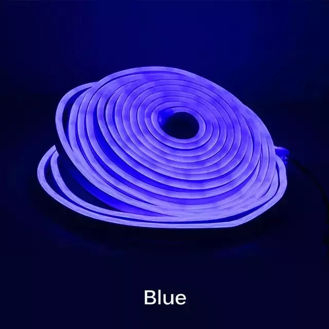 Neon Light - 5m 12V Low-Voltage