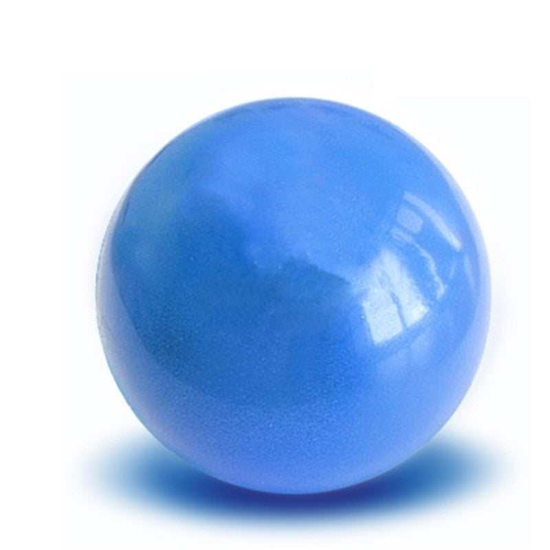 Exercise Gymnastic Fitness Ball