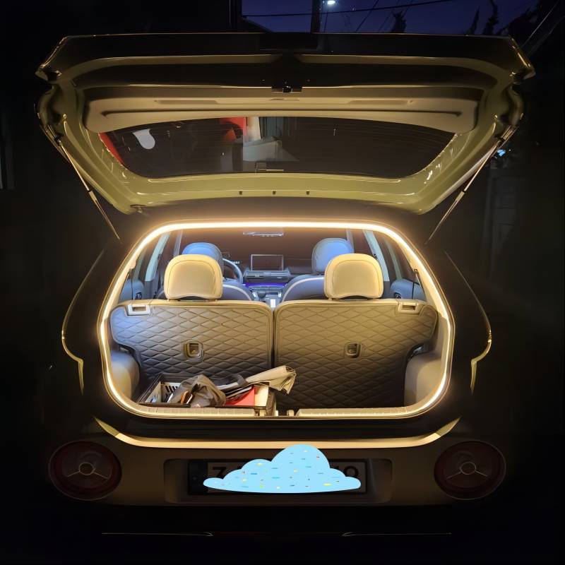 Neon Light - 5m 12V Low-Voltage