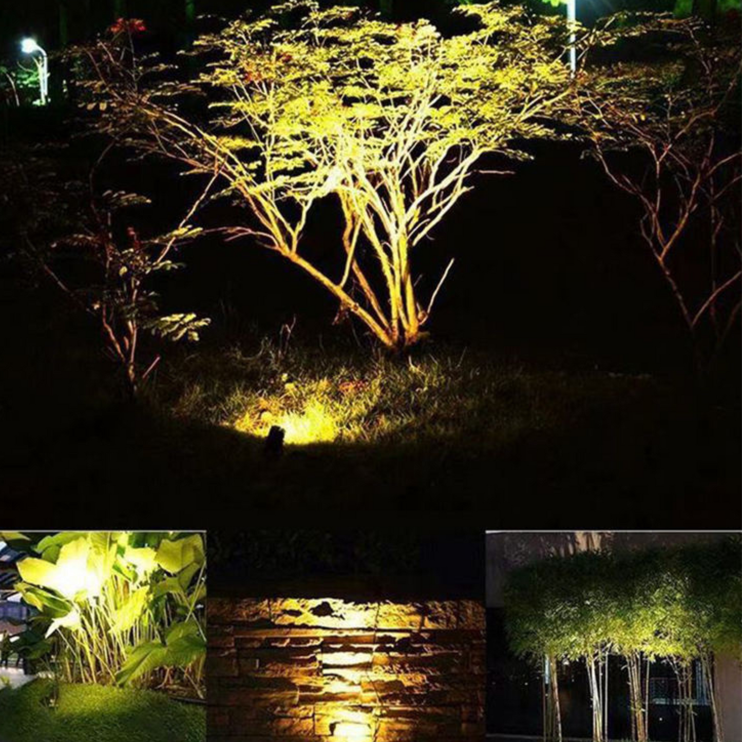 Outdoor Space with Exquisite LED Lawn Lights