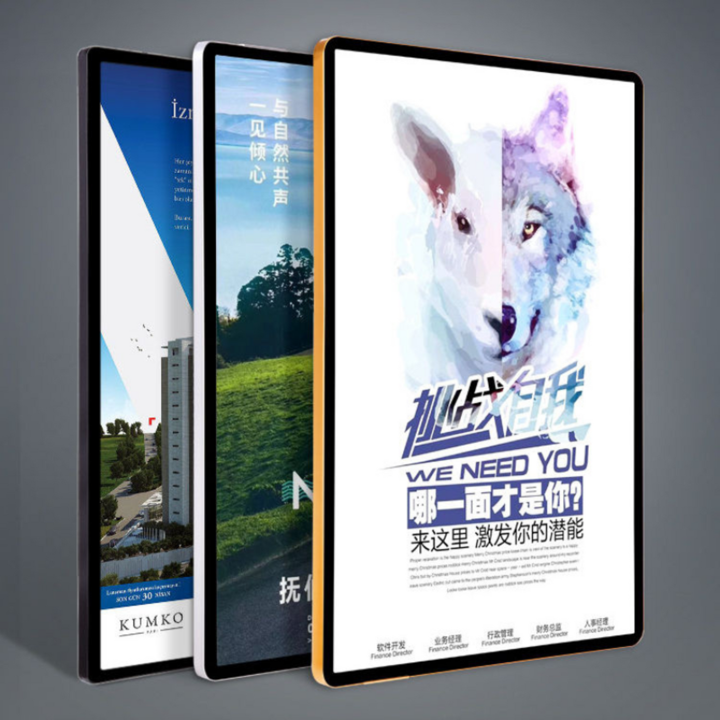 Portable Outdoor Advertising Light Boxes