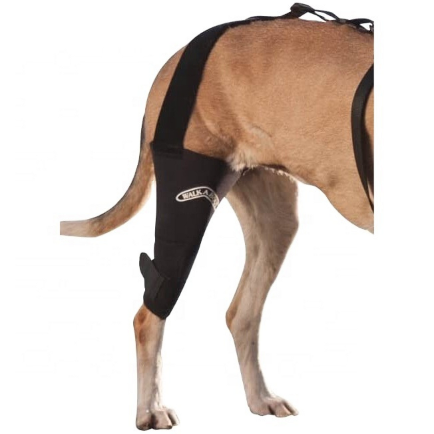Walkabout Harnesses Camouflage Knee