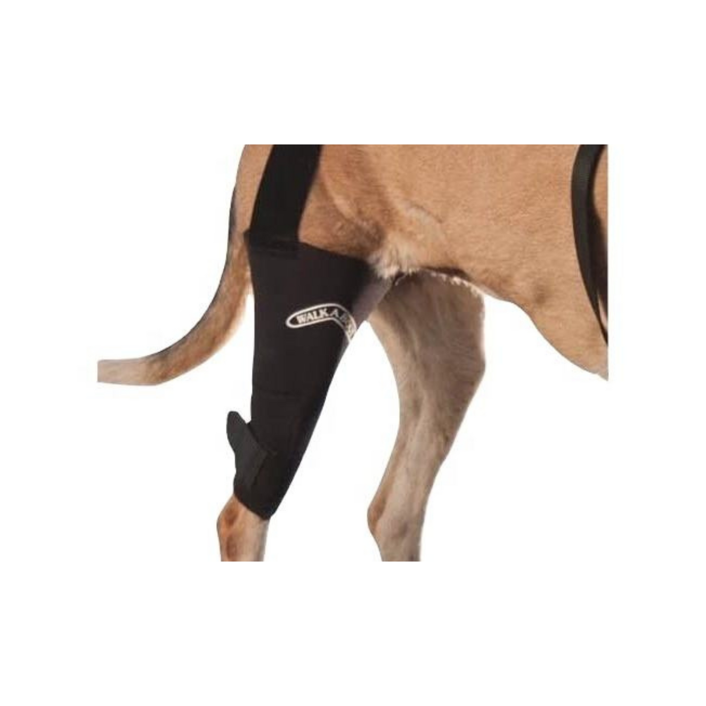 Walkabout Harnesses Camouflage Knee