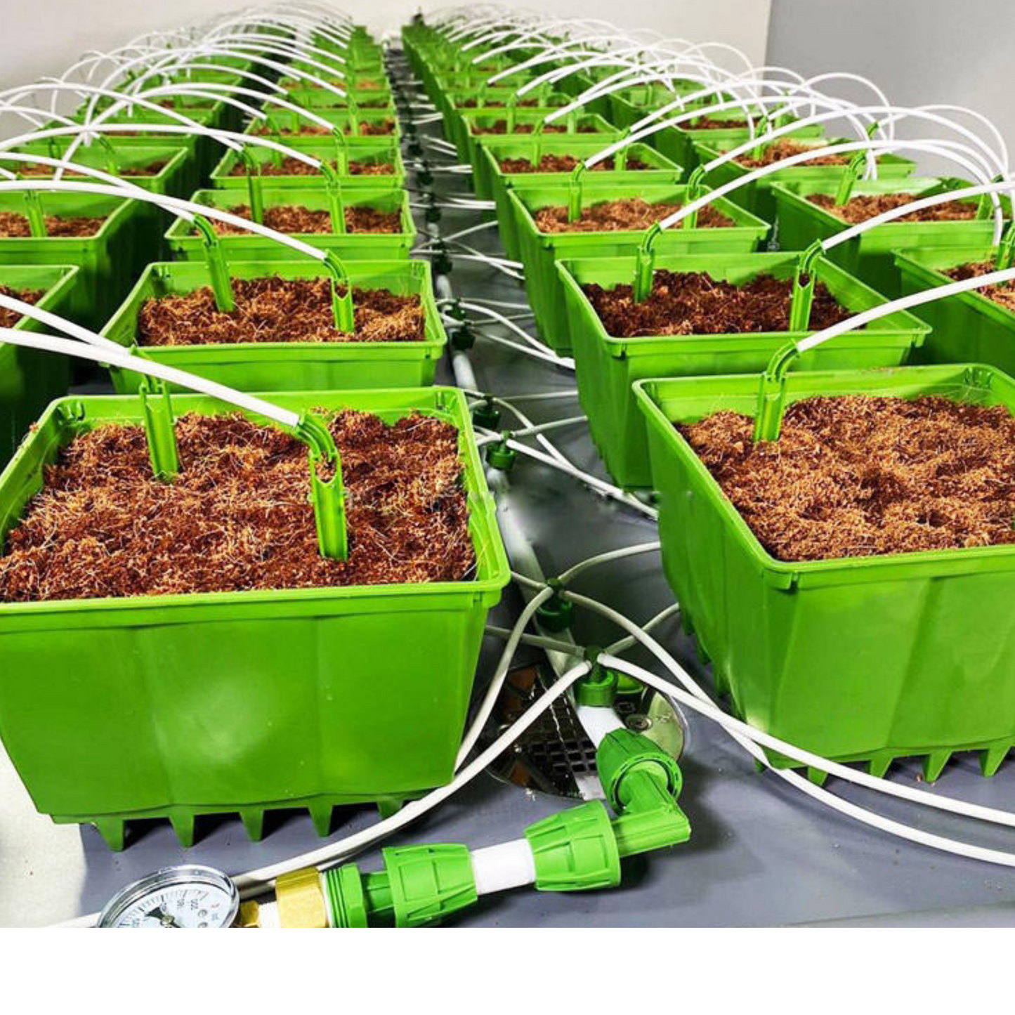8 Inch Hydroponics Growing Pots