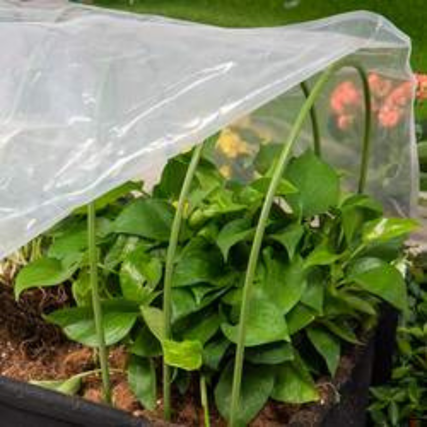 Durable Plastic-Coated Steel Hoops
