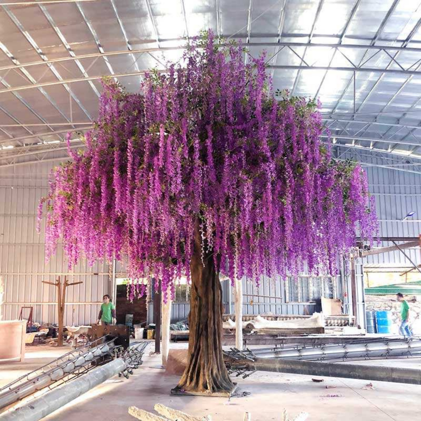 Spring Indoors Wisteria Flower Blossom Tree