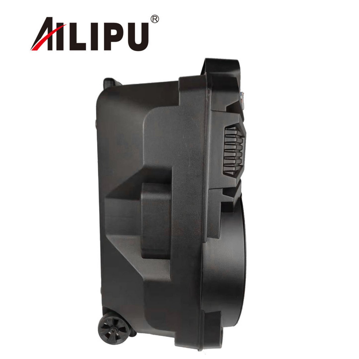 Powerful Bass with 12-Inch Subwoofer
