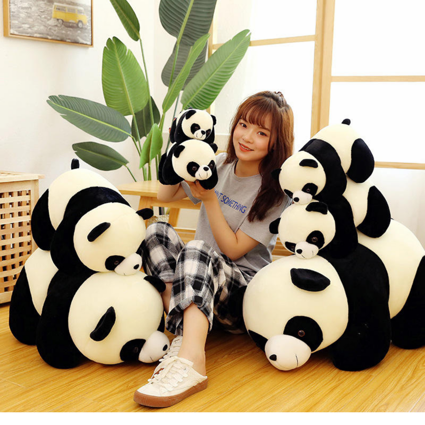 Cute and Cuddly Panda Plush Toys