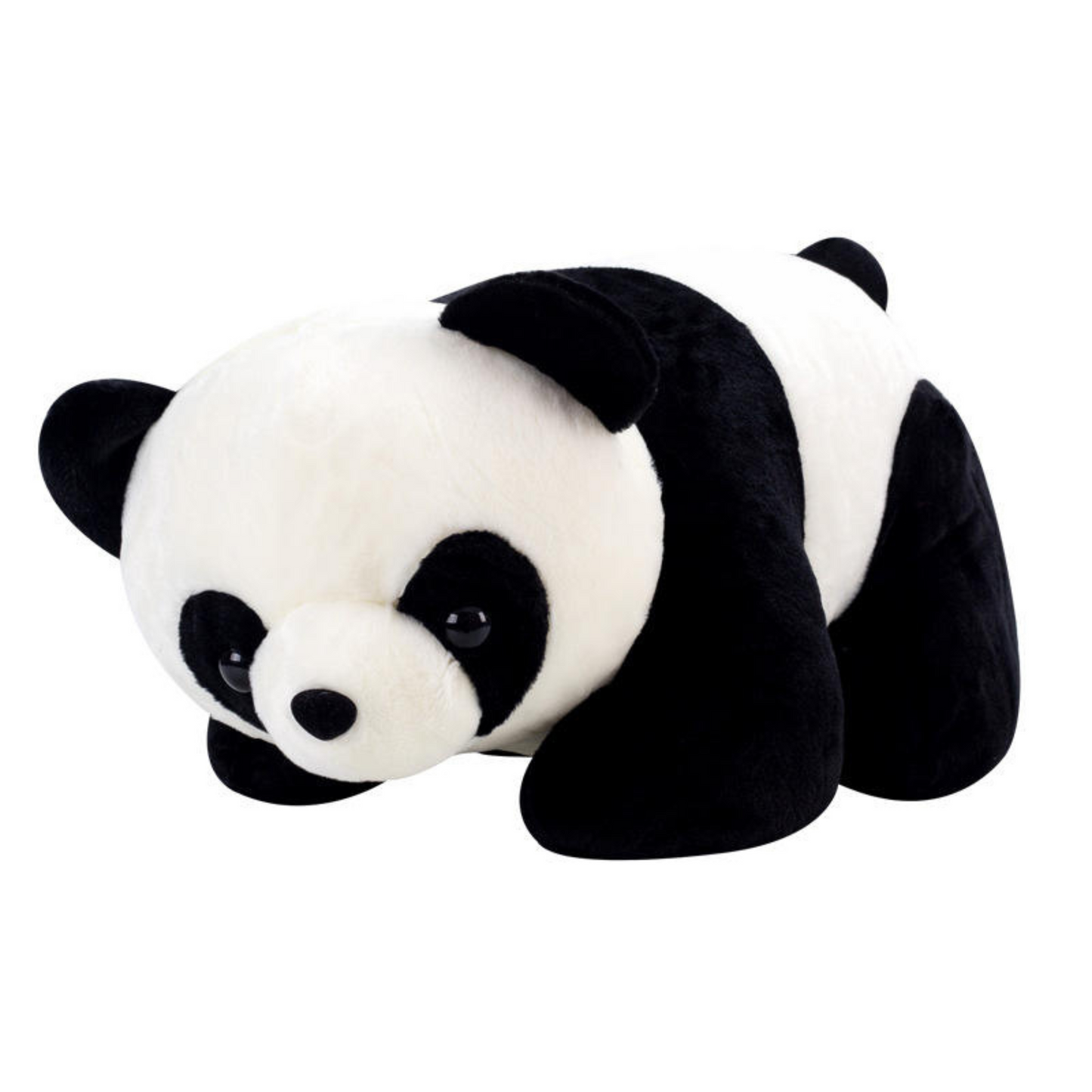 Cute and Cuddly Panda Plush Toys