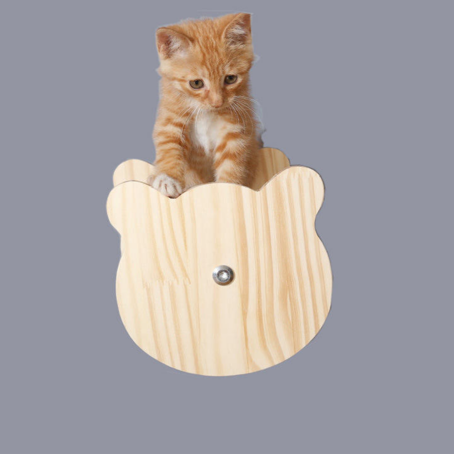 Wall Mounted Cat Climb Shelves