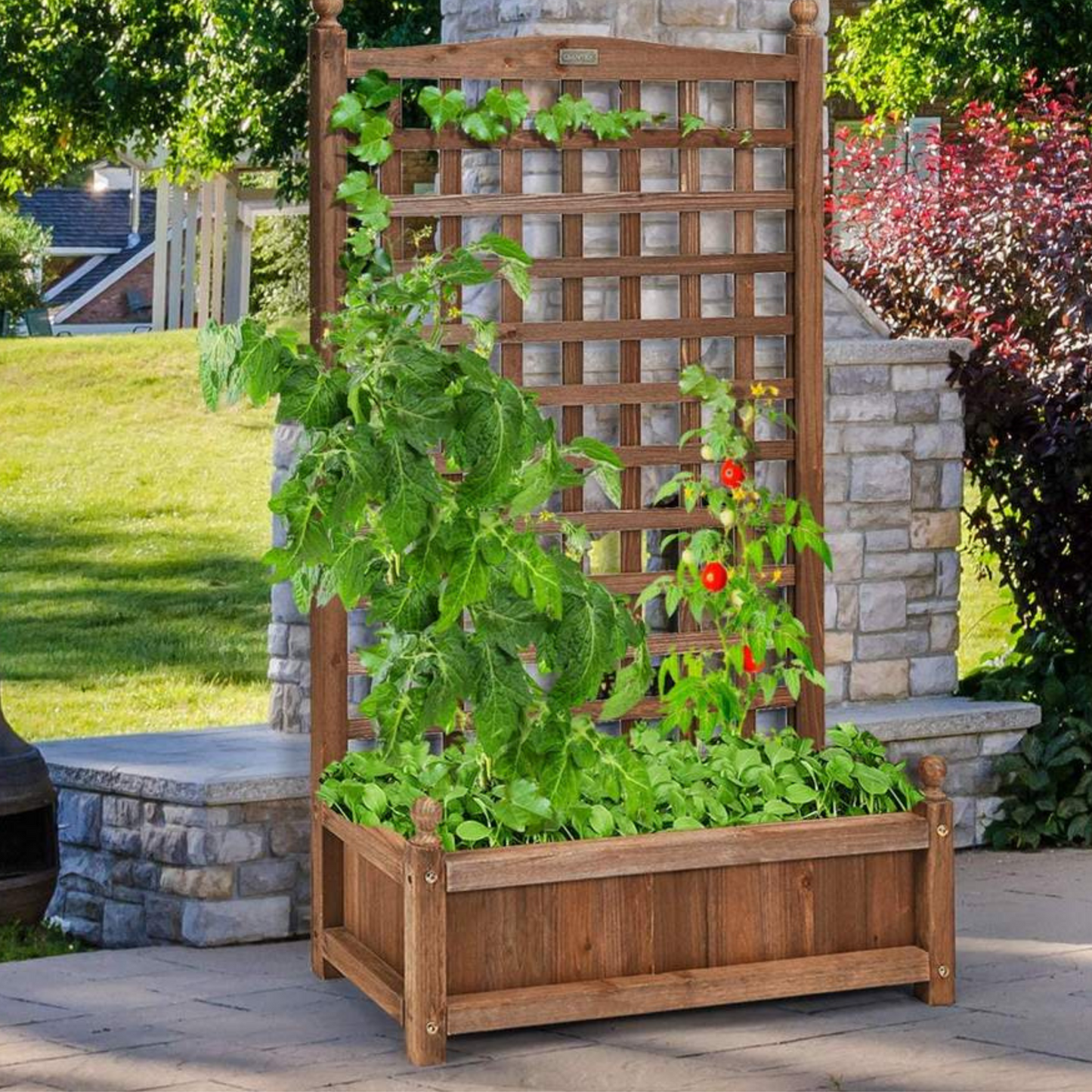 Wood Planter Raised Bed with Trellis