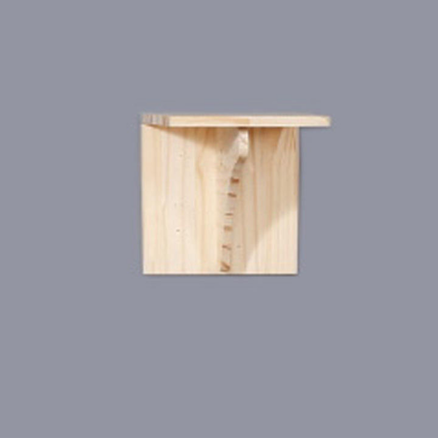 Wall Mounted Cat Climb Shelves