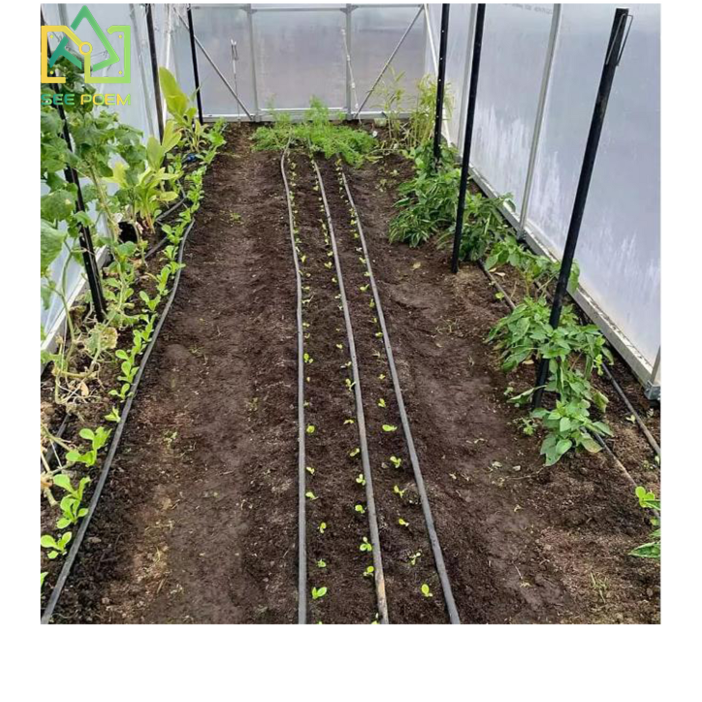 Domestic Tunnel Greenhouse