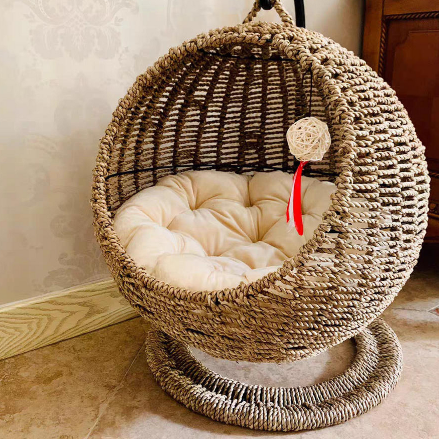 Cats and Hanging Egg Cages