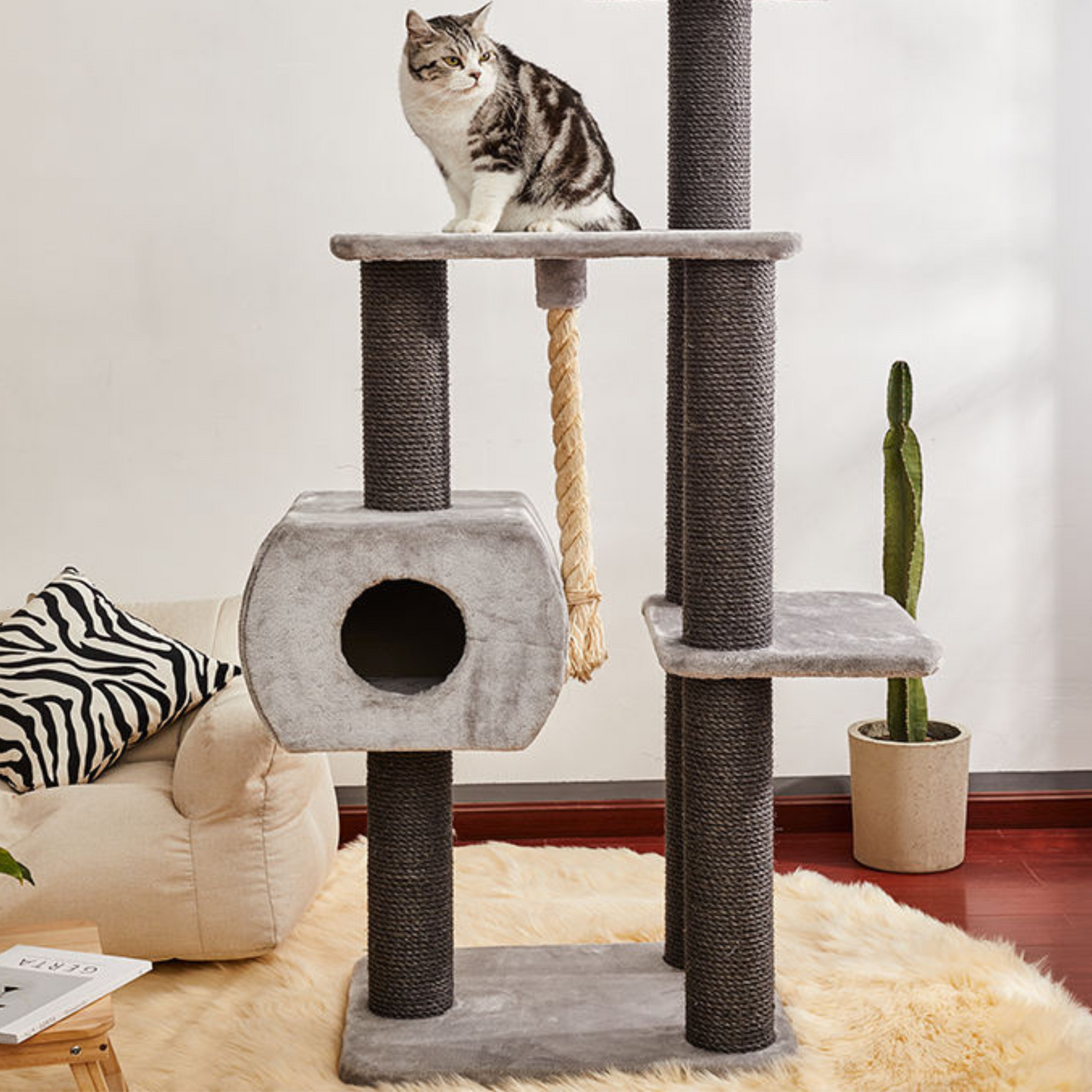 Stable Indoor Pet Toys