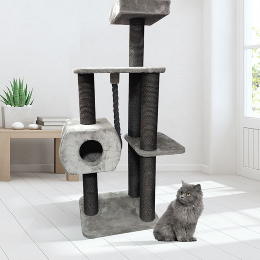 Stable Indoor Pet Toys