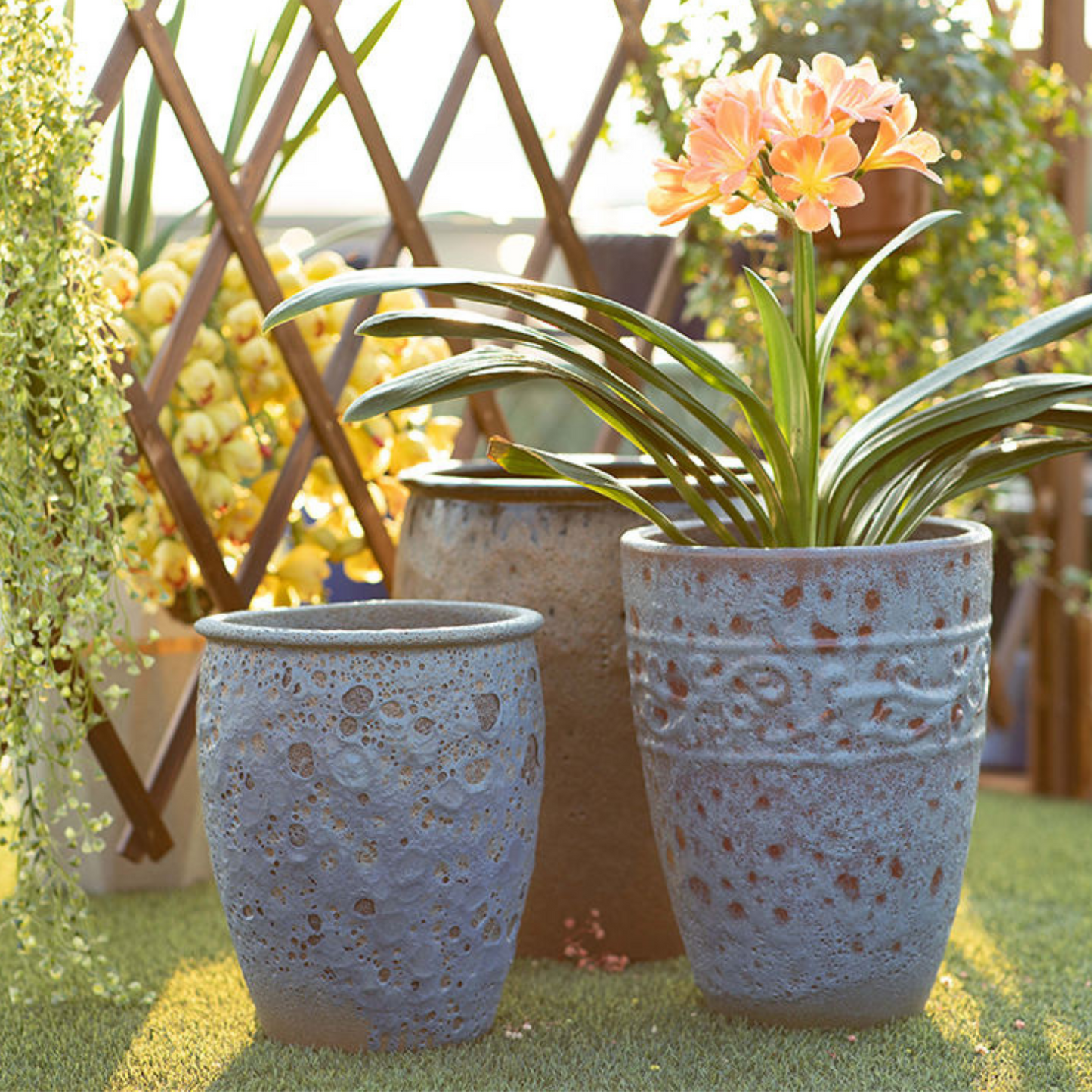 Home Gardening Supplies Flower Pots