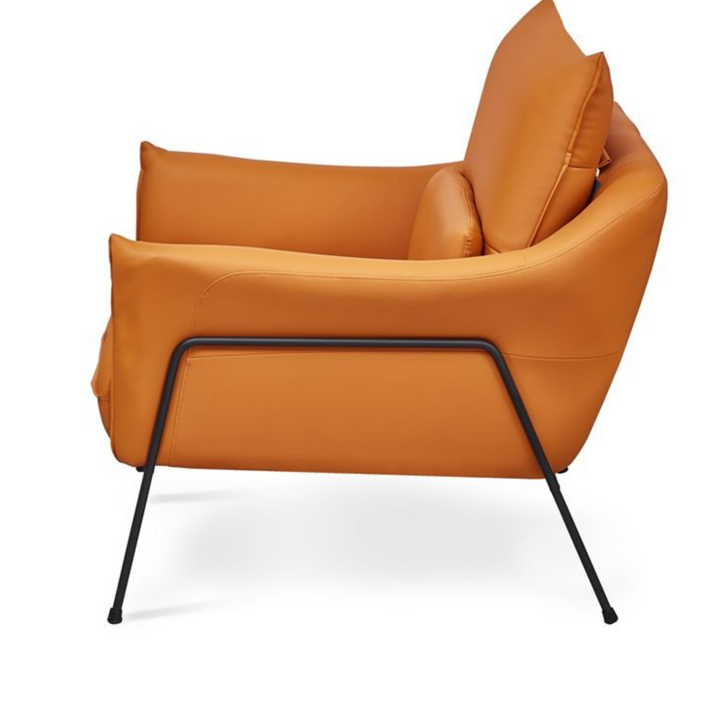 Living Room Seating Chairs and Sofa