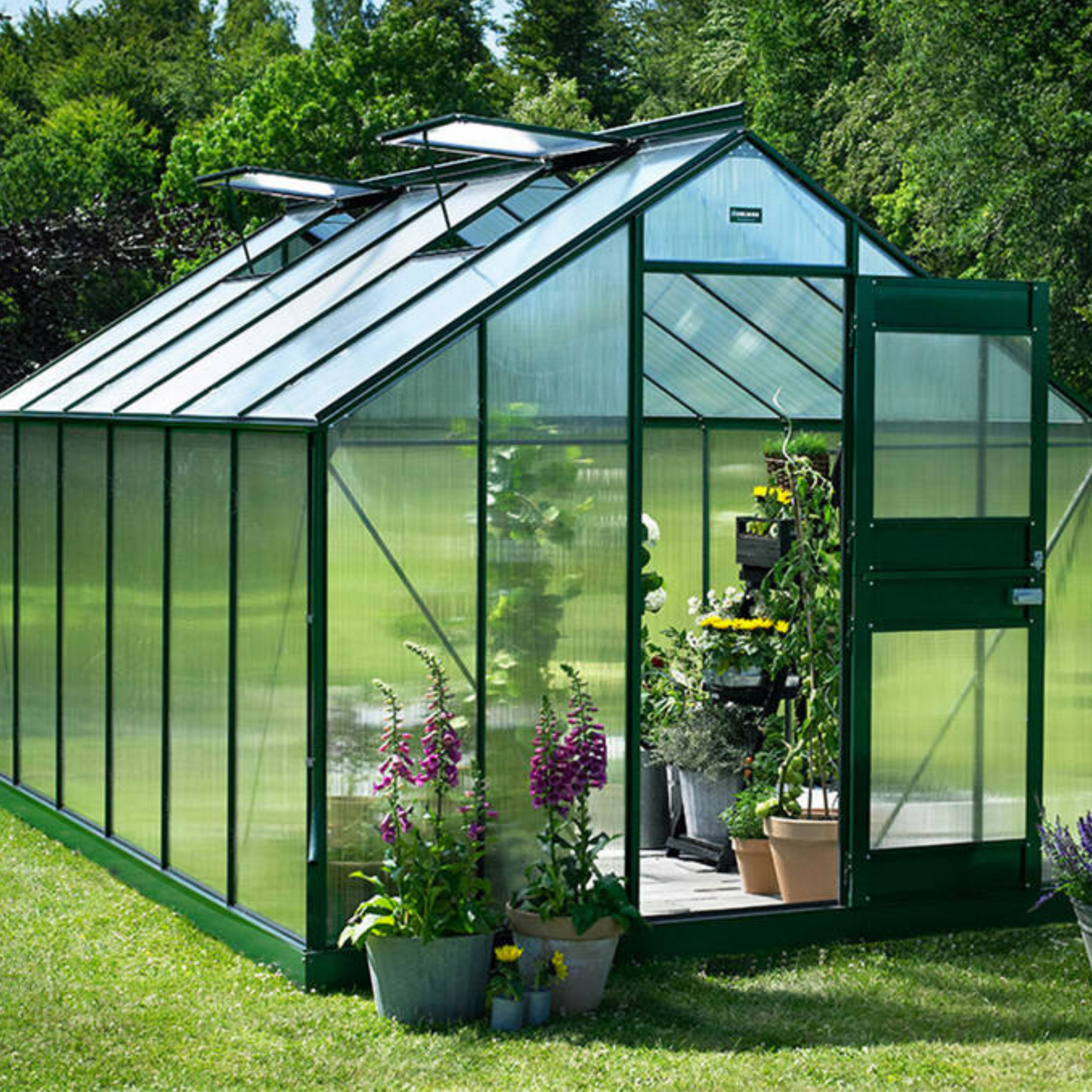Home Single Span Mini Greenhouse