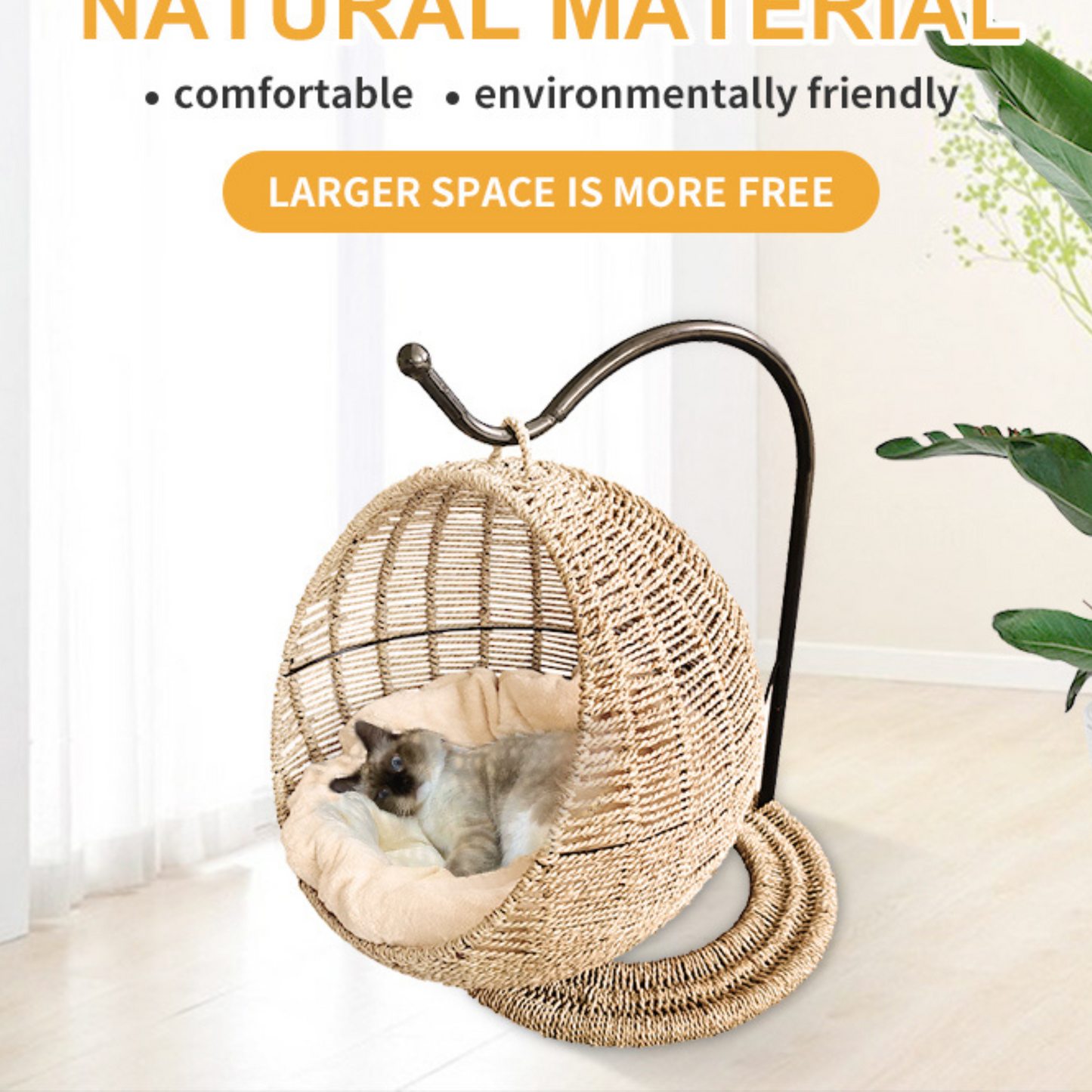 Cats and Hanging Egg Cages