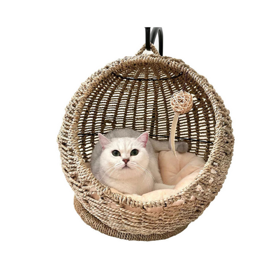 Cats and Hanging Egg Cages